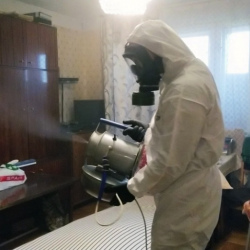 Дезинфекция от клопов в Закаменске